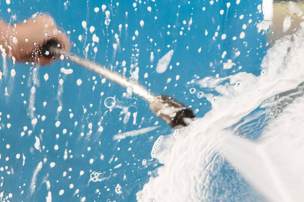 Best Roof Cleaning and Mildew Removal in Thief River Falls, MN