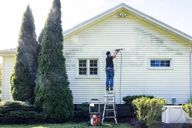 Best Vinyl Siding Pressure Washing in Thief River Falls, MN